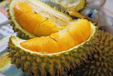 Lợi bất cập hại từ trái sầu riêng 